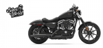 Harley-Davidson_Iron8833