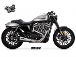 Stainless-Upsweep_Sportster_2